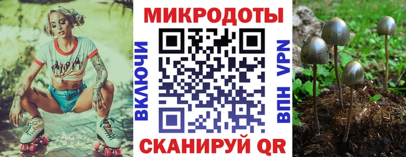 где можно купить наркотик  Железногорск  Галлюциногенные грибы GOLDEN TEACHER 